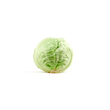 Fresh White Cabbage per kg at zucchini